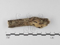 登錄號:F0024714藏品圖，第1張