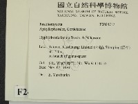 登錄號:F0024717藏品圖，第2張