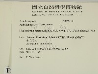 登錄號:F0024718藏品圖，第2張