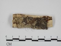 登錄號:F0024718藏品圖，第1張