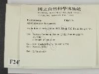 登錄號:F0024719藏品圖，第2張