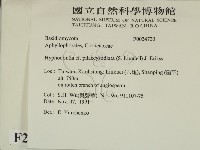 登錄號:F0024720藏品圖，第2張