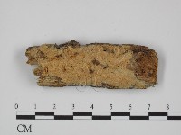 登錄號:F0024720藏品圖，第1張