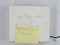 登錄號:F0024721藏品圖，第2張