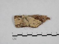 登錄號:F0024721藏品圖，第3張