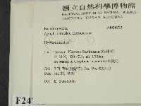 絲齒菌屬藏品圖，第2張