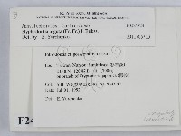 登錄號:F0024724藏品圖，第2張