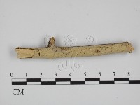 登錄號:F0024726藏品圖，第1張