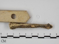 登錄號:F0024728藏品圖，第1張