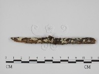 登錄號:F0024730藏品圖，第3張