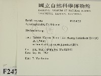 絲齒菌屬藏品圖，第2張