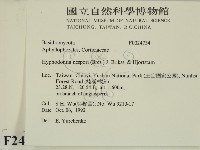 登錄號:F0024734藏品圖，第2張