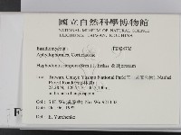 登錄號:F0024735藏品圖，第2張