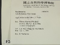 冇骨消絲齒菌藏品圖，第2張