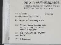 登錄號:F0024740藏品圖，第2張