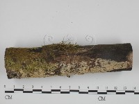 登錄號:F0024740藏品圖，第1張