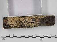 登錄號:F0024740藏品圖，第3張