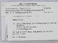 登錄號:F0024742藏品圖，第2張