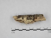 登錄號:F0024742藏品圖，第1張