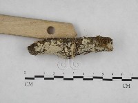 登錄號:F0024744藏品圖，第3張