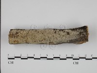 登錄號:F0024745藏品圖，第1張