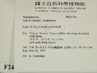 登錄號:F0024746藏品圖，第2張