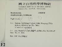 絲齒菌屬藏品圖，第2張