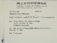 登錄號:F0024749藏品圖，第2張