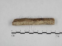 登錄號:F0024750藏品圖，第1張