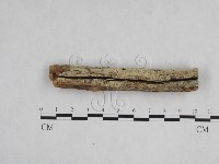 登錄號:F0024750藏品圖，第4張