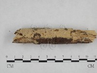 登錄號:F0024751藏品圖，第1張