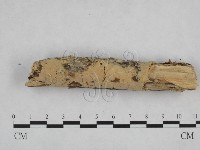 登錄號:F0024751藏品圖，第3張