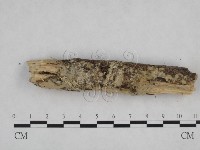 登錄號:F0024751藏品圖，第4張