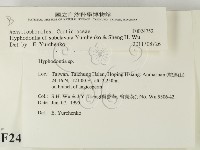 登錄號:F0024752藏品圖，第2張