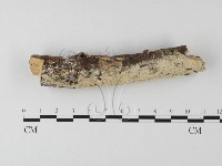 登錄號:F0024752藏品圖，第1張