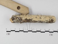 登錄號:F0024752藏品圖，第3張