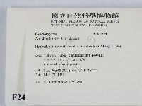 登錄號:F0024754藏品圖，第2張