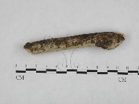 登錄號:F0024754藏品圖，第3張