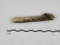 登錄號:F0024754藏品圖，第4張