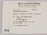 登錄號:F0024755藏品圖，第2張