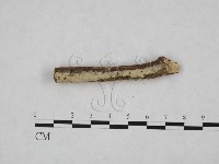 登錄號:F0024755藏品圖，第1張