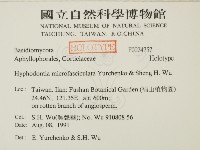 登錄號:F0024757藏品圖，第2張