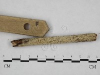 登錄號:F0024758藏品圖，第3張