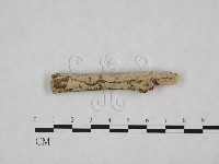 登錄號:F0024759藏品圖，第1張