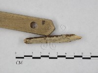 登錄號:F0024759藏品圖，第3張