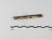 登錄號:F0024760藏品圖，第1張