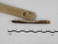 登錄號:F0024761藏品圖，第3張