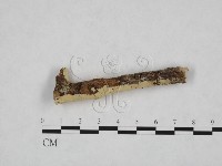 登錄號:F0024762藏品圖，第3張