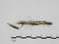 登錄號:F0024764藏品圖，第3張