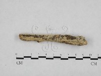 登錄號:F0024765藏品圖，第3張